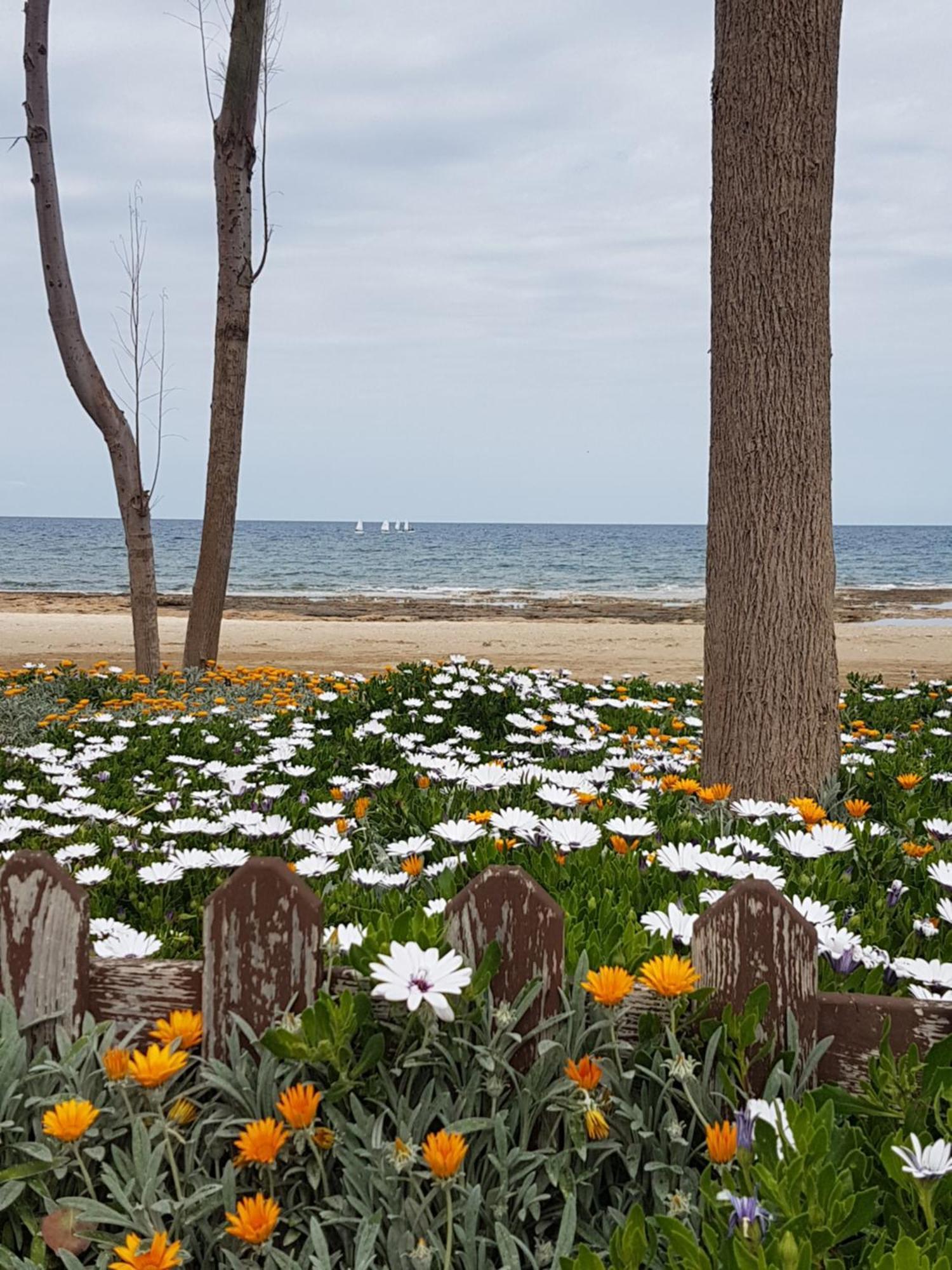 Holiday Apartment With Sea View Paralimni Ngoại thất bức ảnh